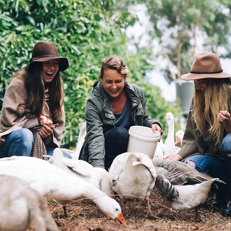 Villa Burnside Organic Farm Margaret River Exterior foto